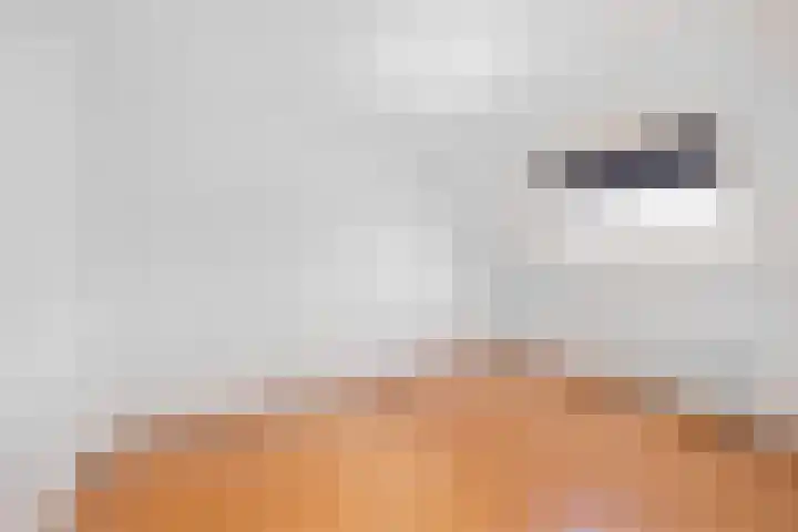 Marskamp 25 Lunteren thumbnail 11