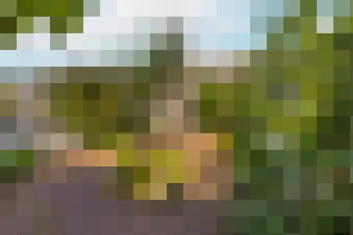 Marskamp 25 Lunteren thumbnail 22