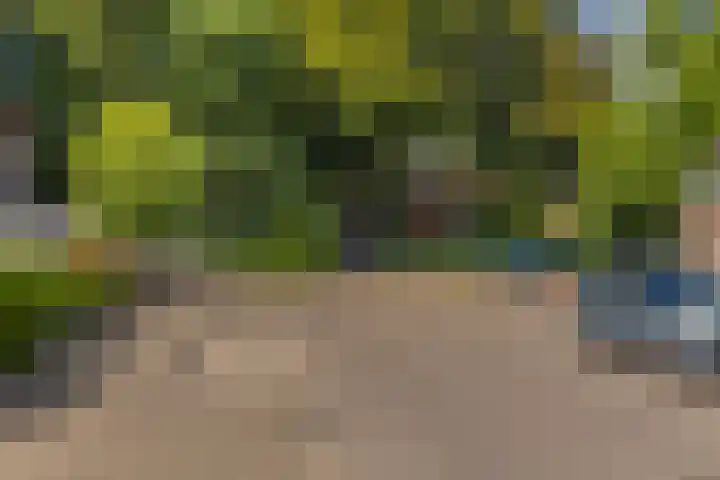 Marskamp 25 Lunteren thumbnail 26
