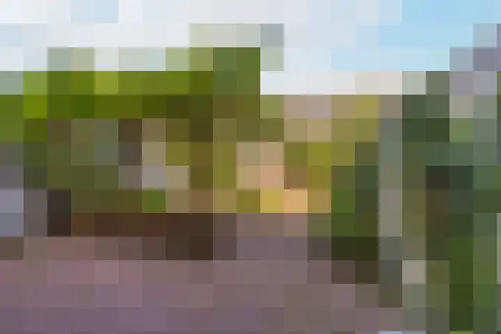 Marskamp 25 Lunteren thumbnail 4