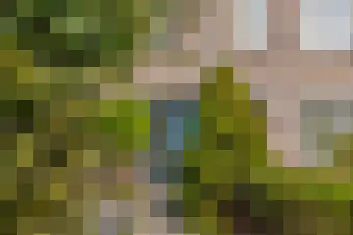 Marskamp 25 Lunteren thumbnail 5