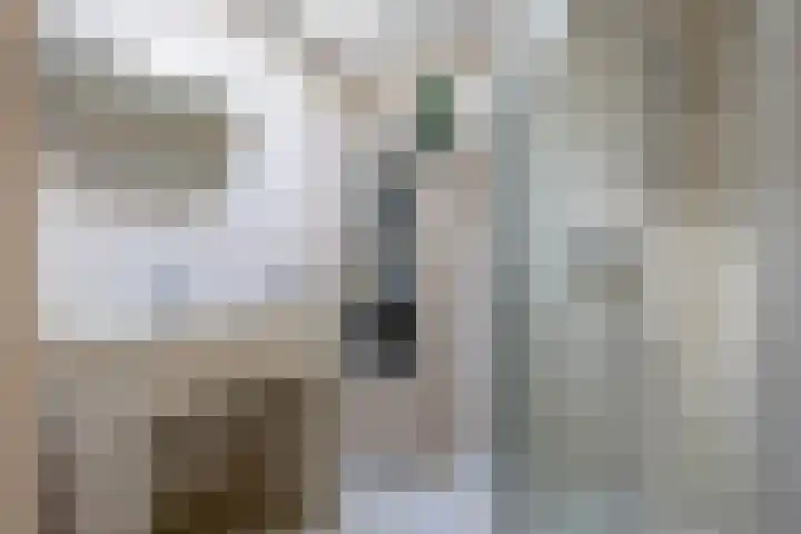 Marskamp 3 Assendelft thumbnail 24