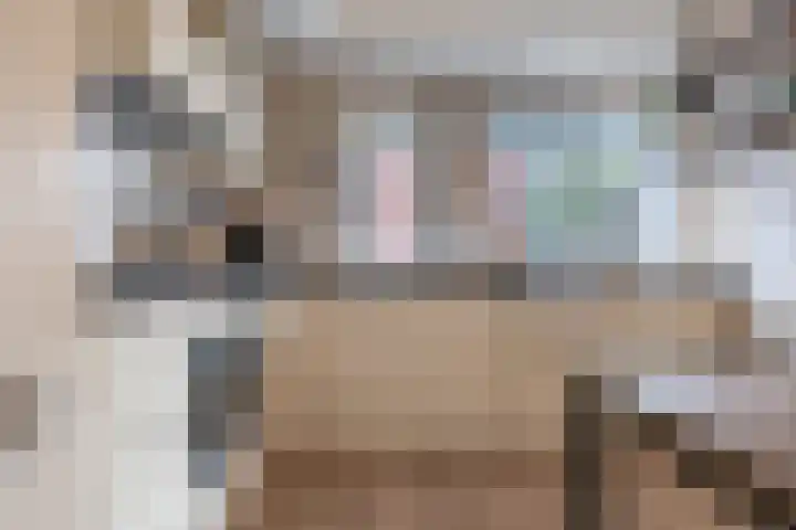 Marskamp 3 Assendelft thumbnail 6