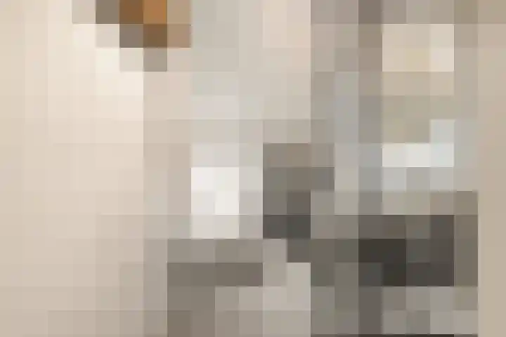 Marskamp 41 Assendelft thumbnail 16