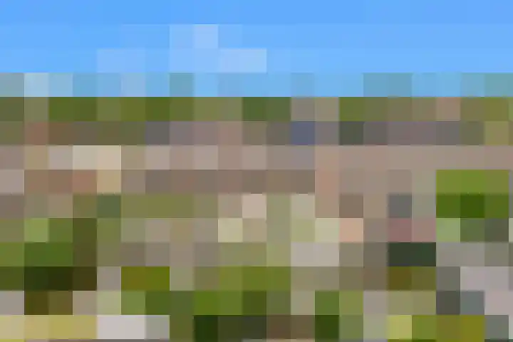 Marskamp 41 Assendelft thumbnail 20