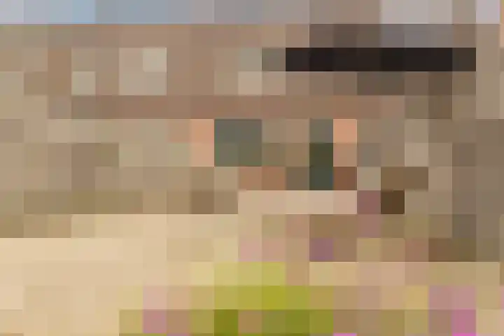 Marskamp 41 Assendelft thumbnail 21