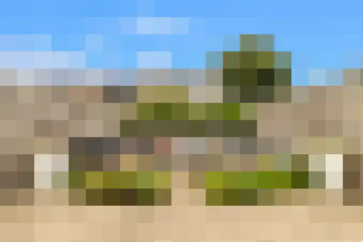 Marskamp 41 Assendelft thumbnail 22