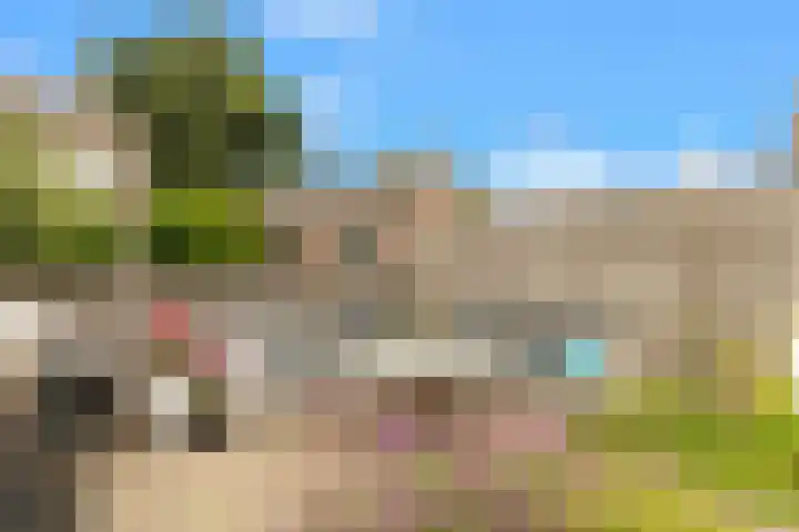 Marskamp 41 Assendelft thumbnail 23