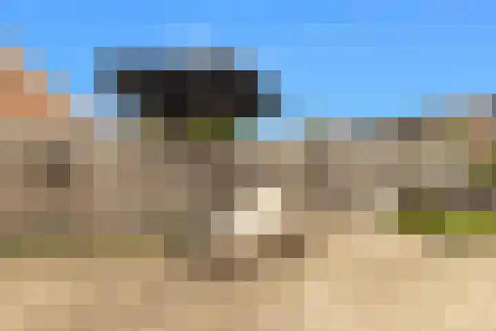 Marskamp 41 Assendelft thumbnail 24