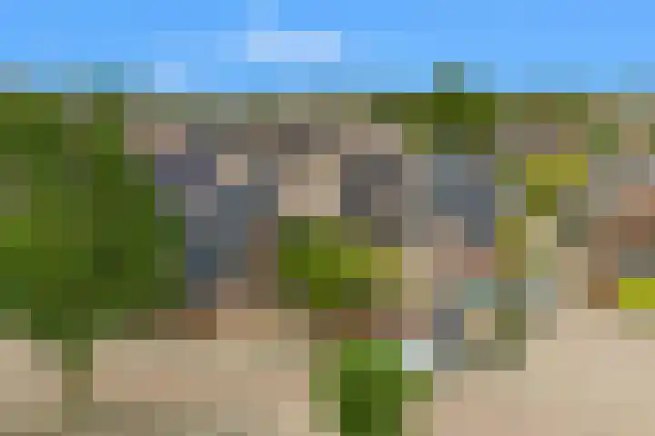 Marskamp 41 Assendelft thumbnail 25