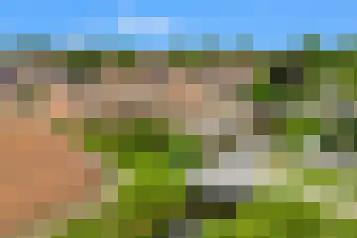 Marskamp 41 Assendelft thumbnail 26