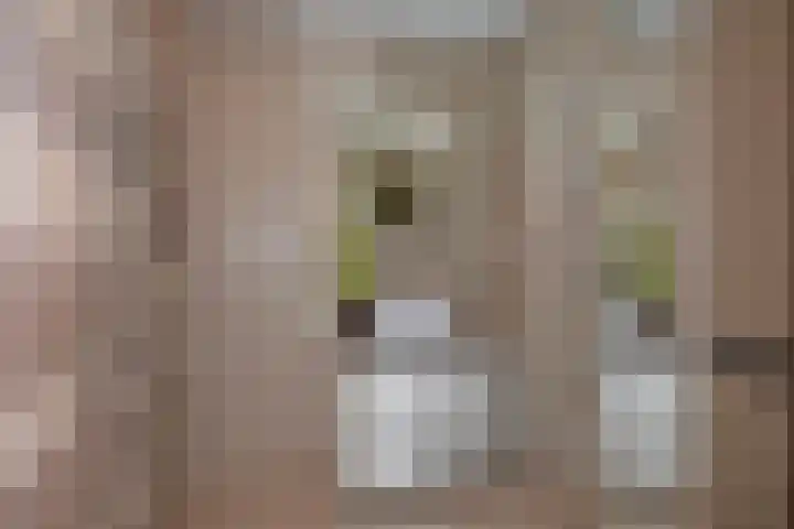Marskant 17 31 Hengelo thumbnail 22