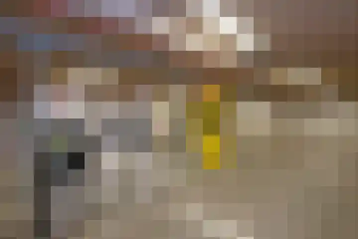 Marskant 17 31 Hengelo thumbnail 27