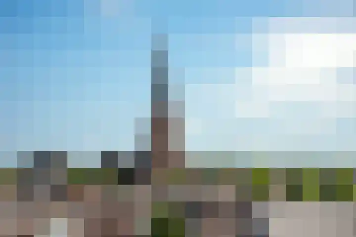 Marskant 17 31 Hengelo thumbnail 30