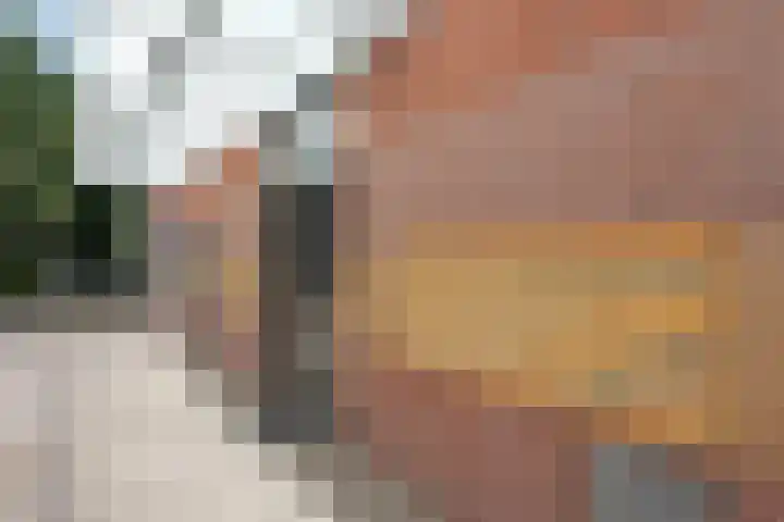 Marskant 17 31 Hengelo thumbnail 5