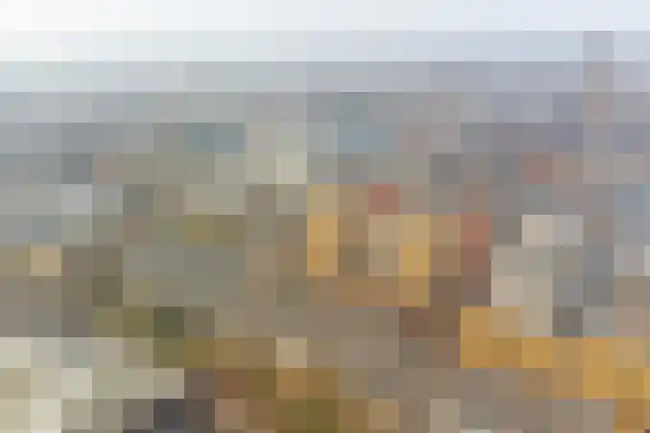 Marskant 31 5 Hengelo thumbnail 33
