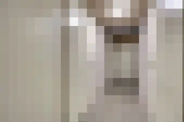 Marskant 31 5 Hengelo thumbnail 34