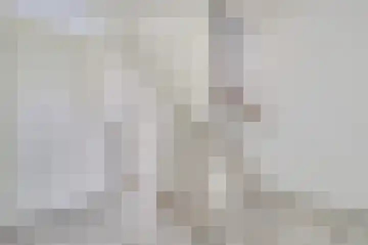 Marskramer 10 Beuningen Gld thumbnail 13
