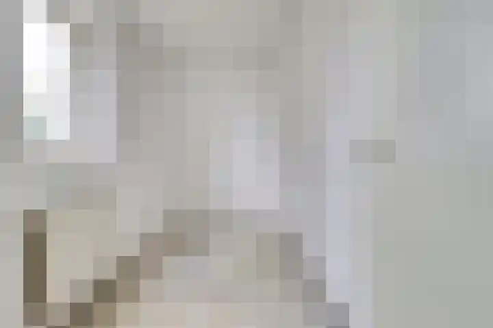 Marskramer 10 Beuningen Gld thumbnail 14