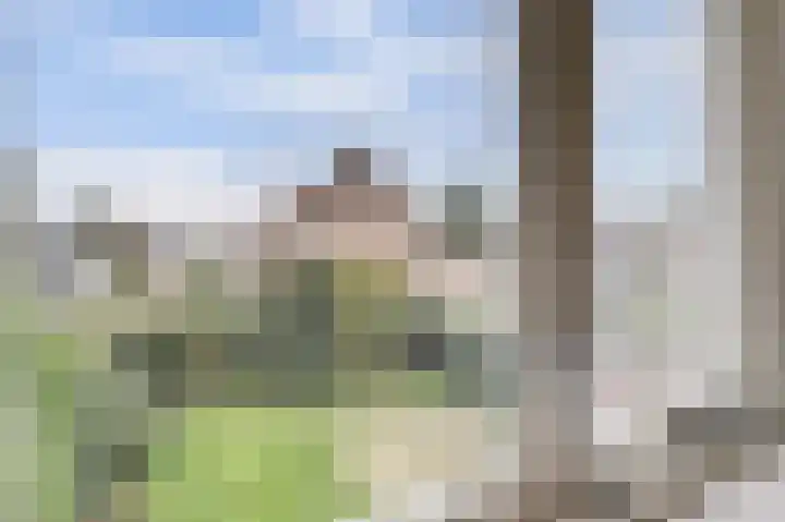 Marskramer 10 Beuningen Gld thumbnail 19