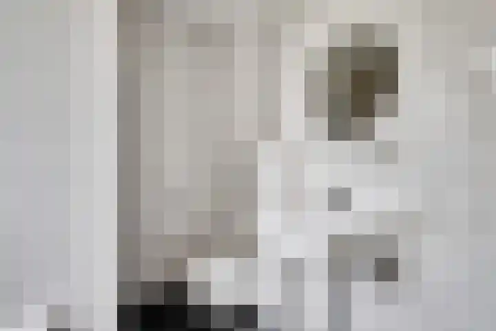 Marskramer 10 Beuningen Gld thumbnail 22
