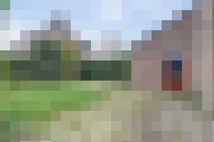Marskramer 10 Beuningen Gld thumbnail 29