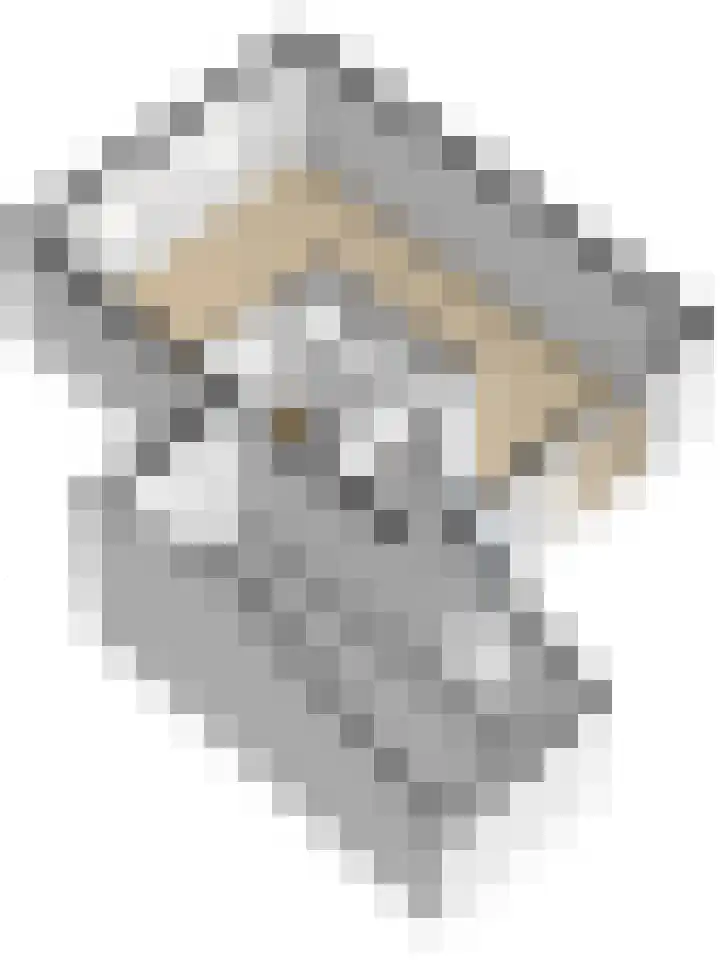 Marskramer 10 Beuningen Gld thumbnail 33
