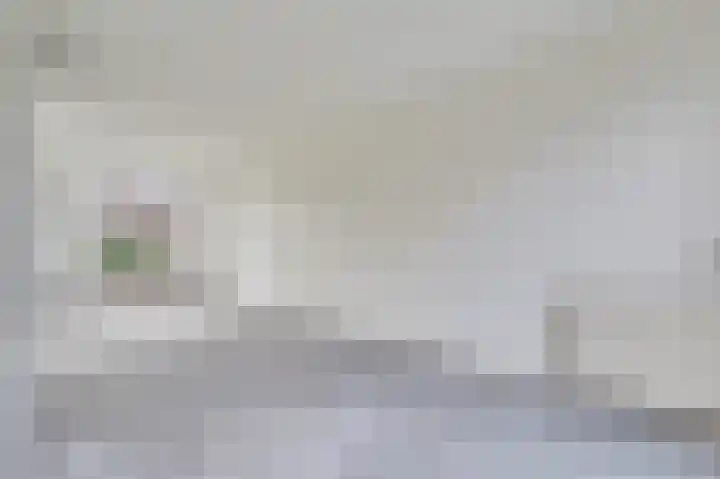 Marskramer 10 Beuningen Gld thumbnail 9