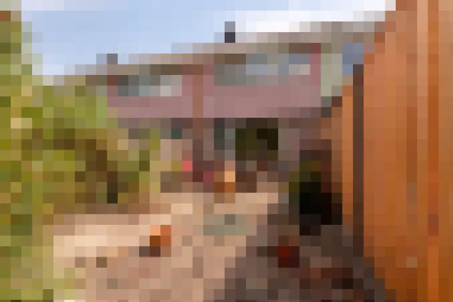 Marskramer 10 Hoorn thumbnail 23