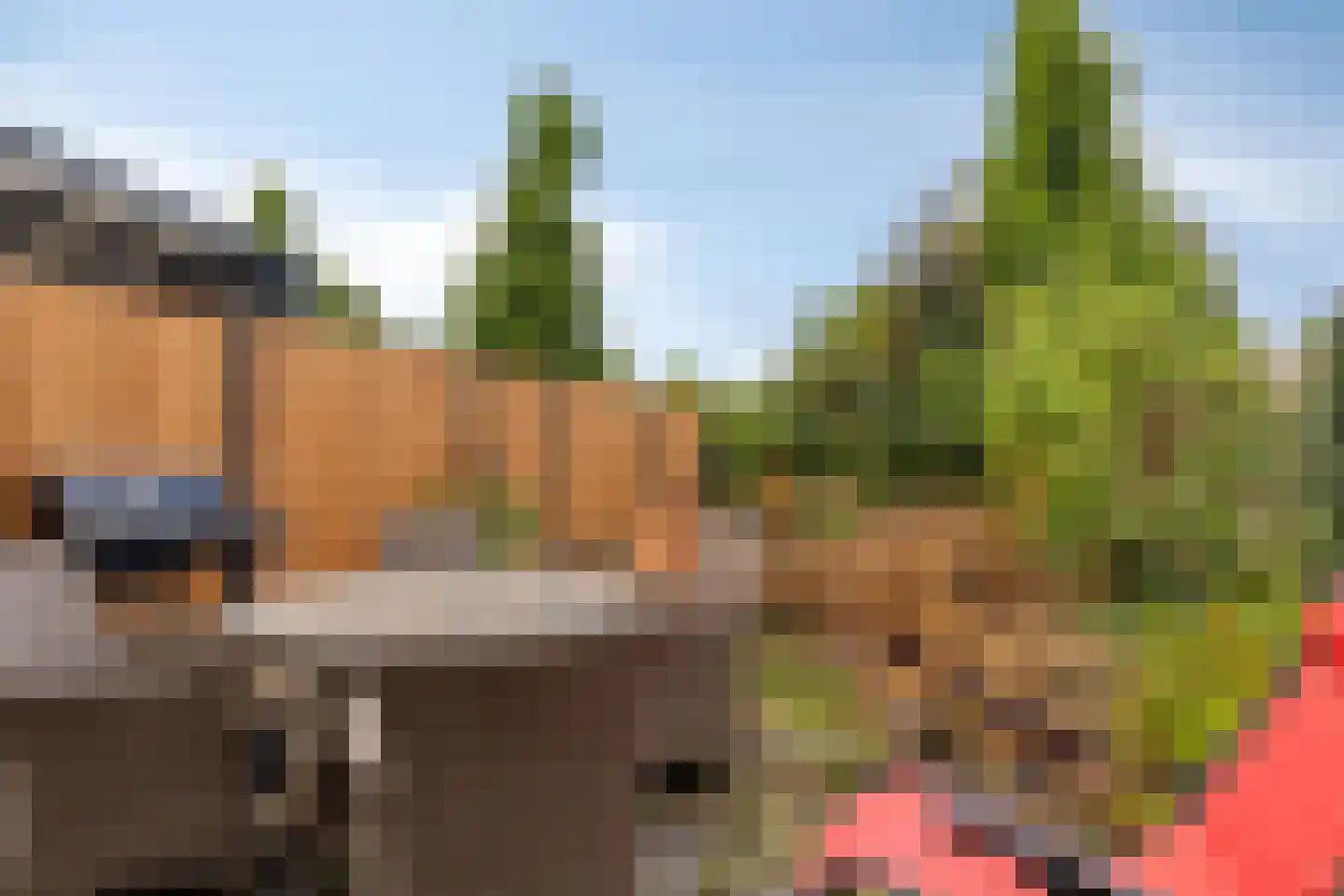Marskramer 10 Hoorn thumbnail 24