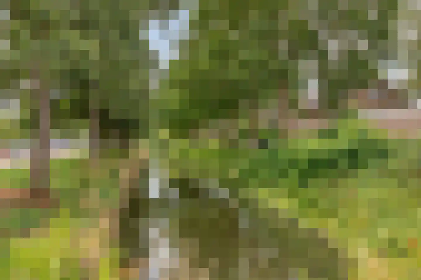Marskramer 10 Hoorn thumbnail 29