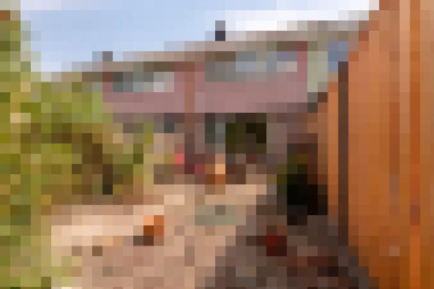 Marskramer 10 Hoorn thumbnail 6