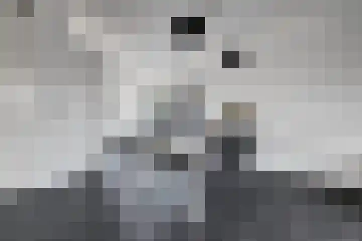 Marskramer 117 Wijchen thumbnail 11