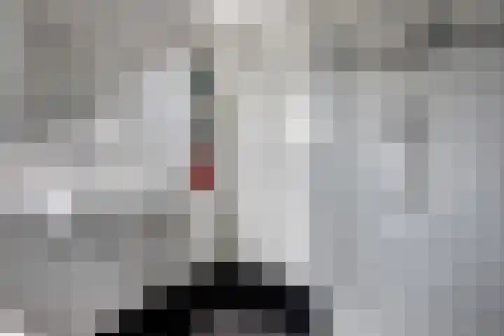 Marskramer 117 Wijchen thumbnail 22