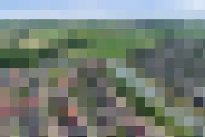 Marskramer 117 Wijchen thumbnail 38