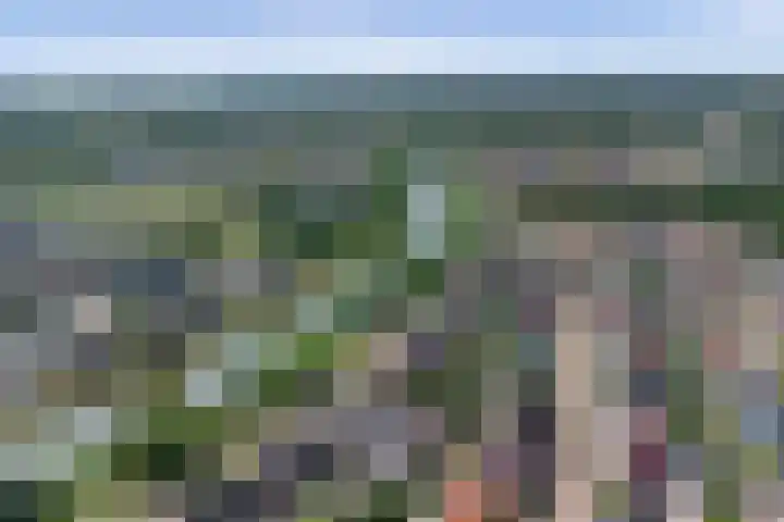 Marskramer 117 Wijchen thumbnail 39