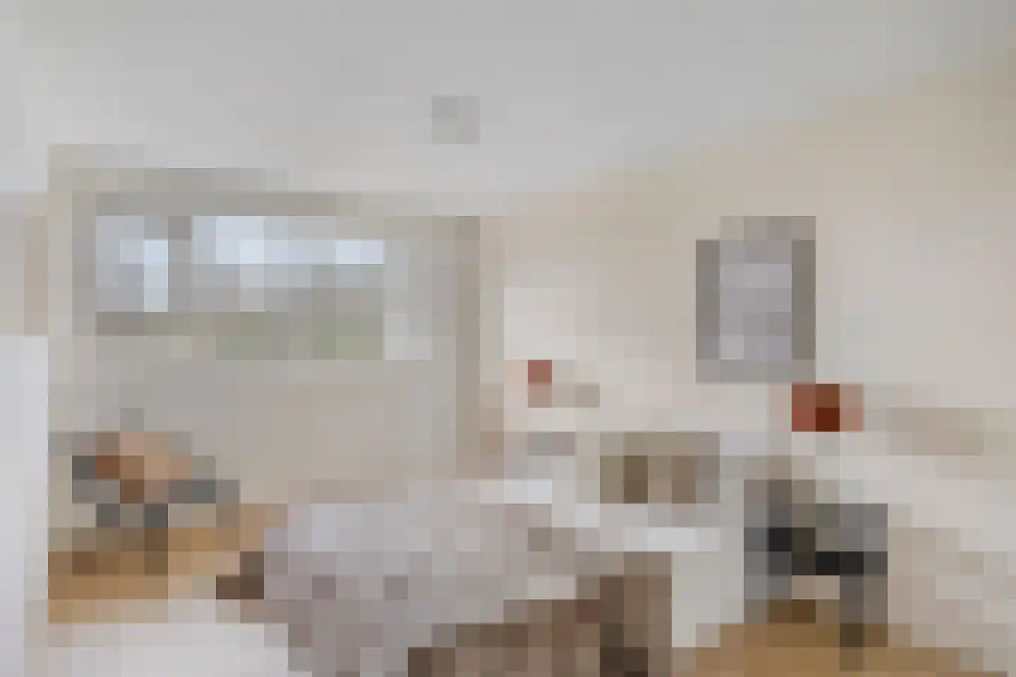 Marskramer 12 Hoorn thumbnail 18