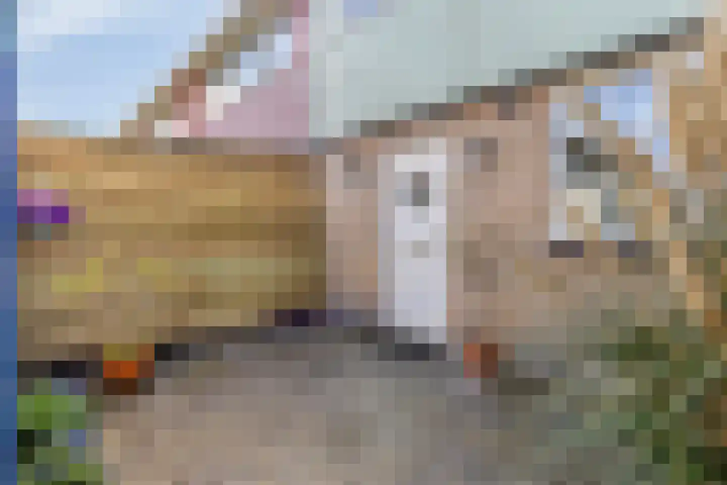 Marskramer 12 Hoorn thumbnail 6