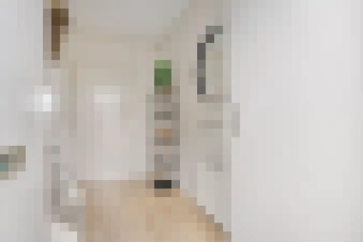 Marskramer 12 Hoorn thumbnail 7