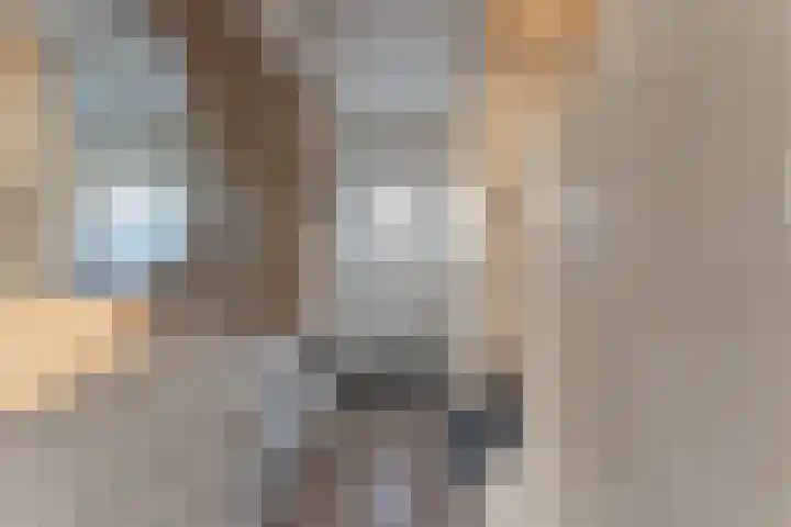 Marskramer 14 Hoorn thumbnail 13