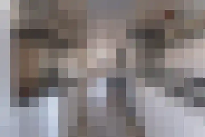 Marskramer 14 Hoorn thumbnail 16