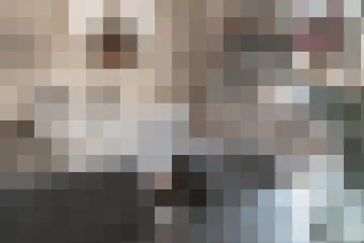 Marskramer 14 Hoorn thumbnail 4