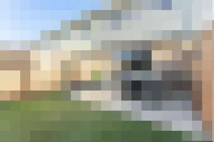 Marskramer 14 Hoorn thumbnail 41