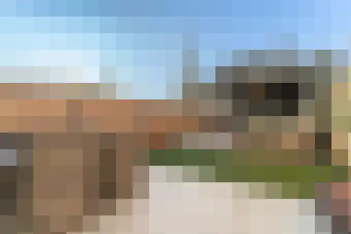 Marskramer 14 Hoorn thumbnail 42