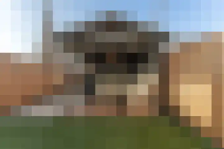 Marskramer 14 Hoorn thumbnail 45