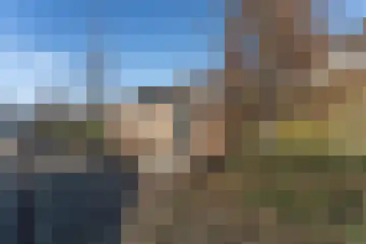 Marskramer 14 Hoorn thumbnail 48