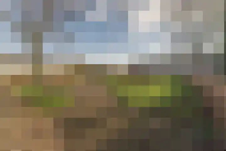 Marskramer 14 Hoorn thumbnail 52