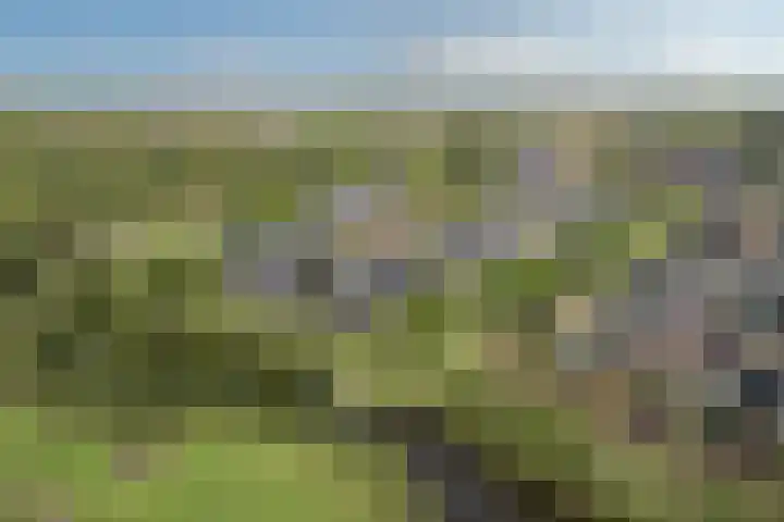 Marskramer 15 Wijchen thumbnail 5