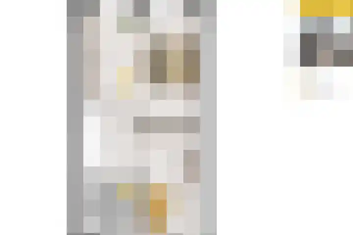 Marskramer 17 Wijchen thumbnail 6