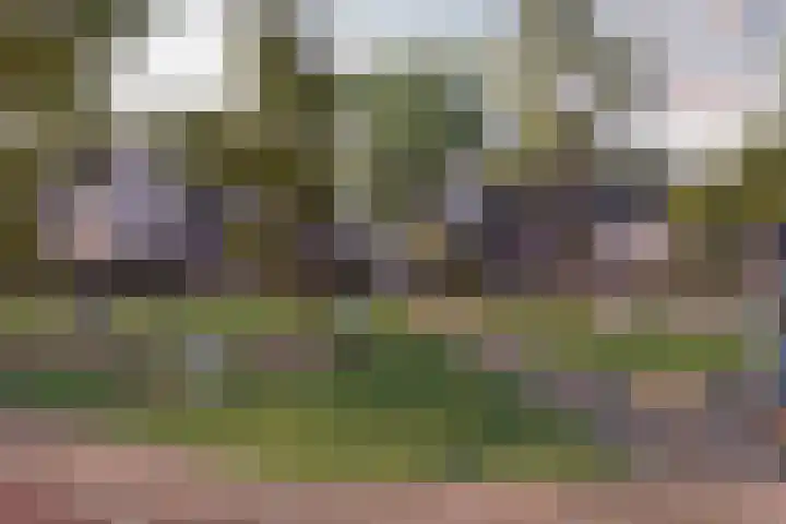 Marskramer 17 Wijchen thumbnail 7